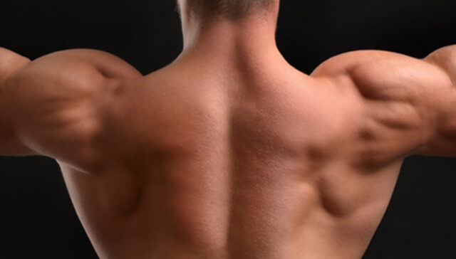 هرمون الذكورة