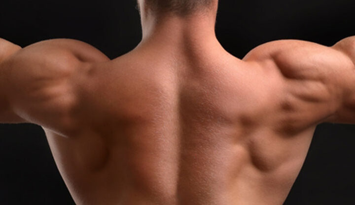 هرمون الذكورة