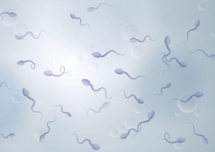 مشاكل الحيوان المنوي وعلاج مشاكل الحيوان المنوى