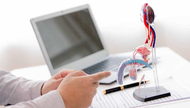 تكلفة دعامة الانتصاب