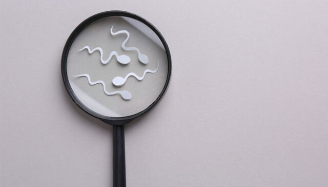 عدد الحيوانات المنوية الطبيعي