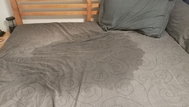 التبول الليلي