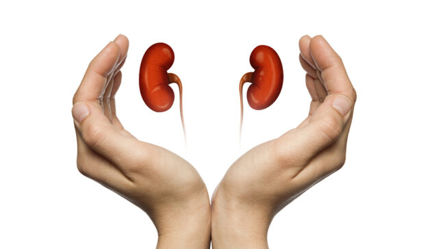 نصائح للحفاظ على صحة الكلى