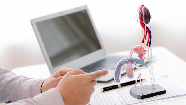 الفرق بين الدعامة المرنة والهيدروليكية