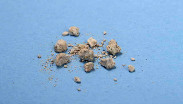 الرمل على الكلى