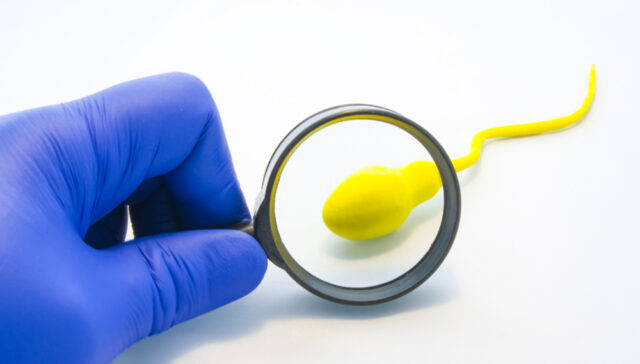 انعدام الحيوانات المنوية